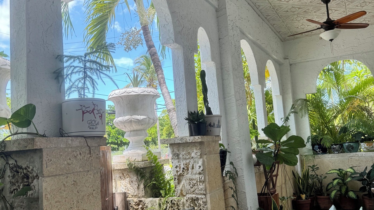 Photo of Outdoor in Southwest Coconut Grove