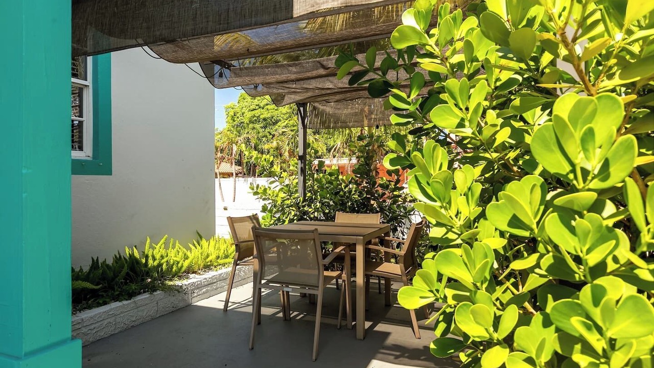 Photo of Outdoor in Royal Poinciana
