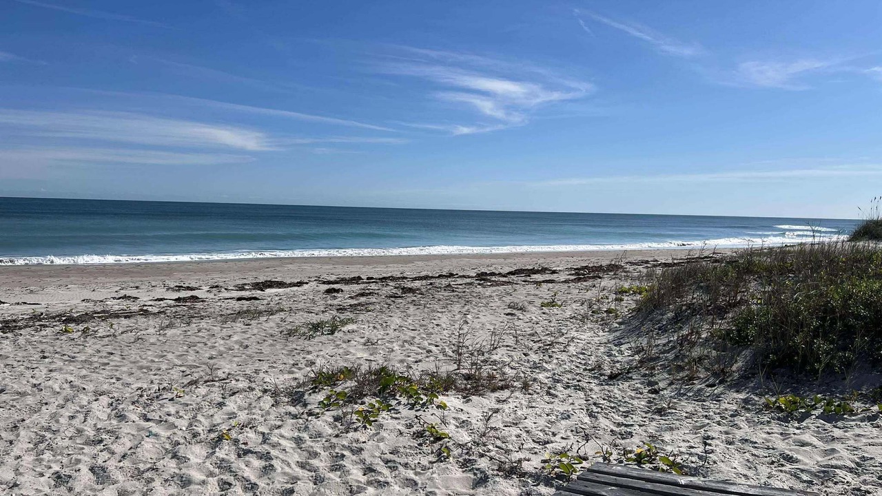 Photo of Others in Melbourne Beach