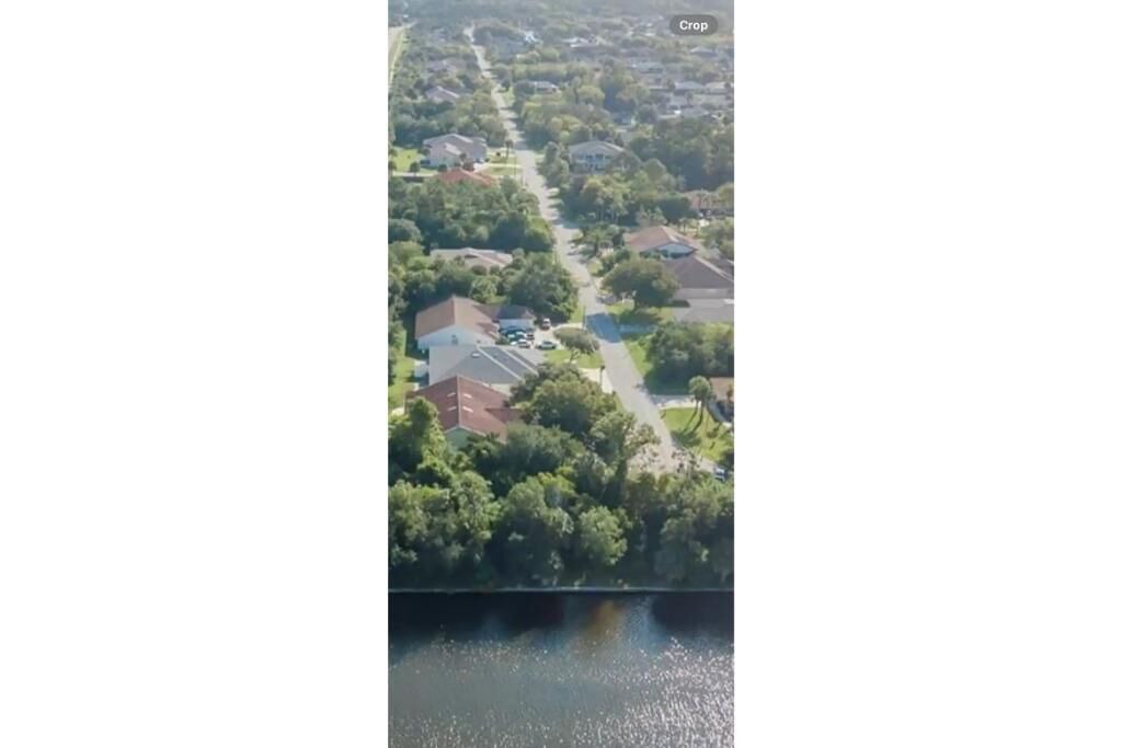 Photo of Outdoor in Palm Harbor