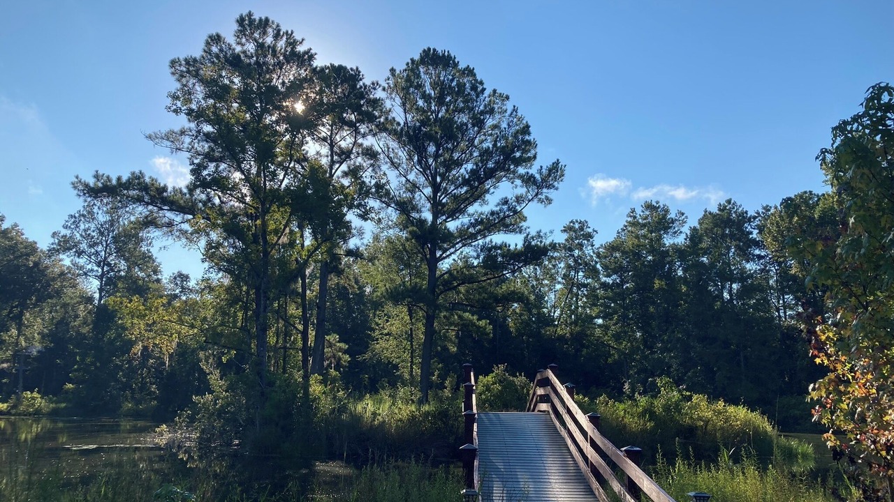 Photo of Outdoor in Tallahassee