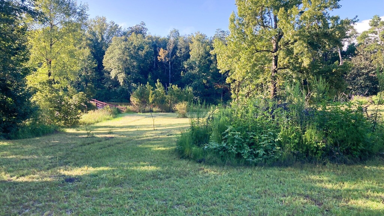 Photo of Outdoor in Tallahassee