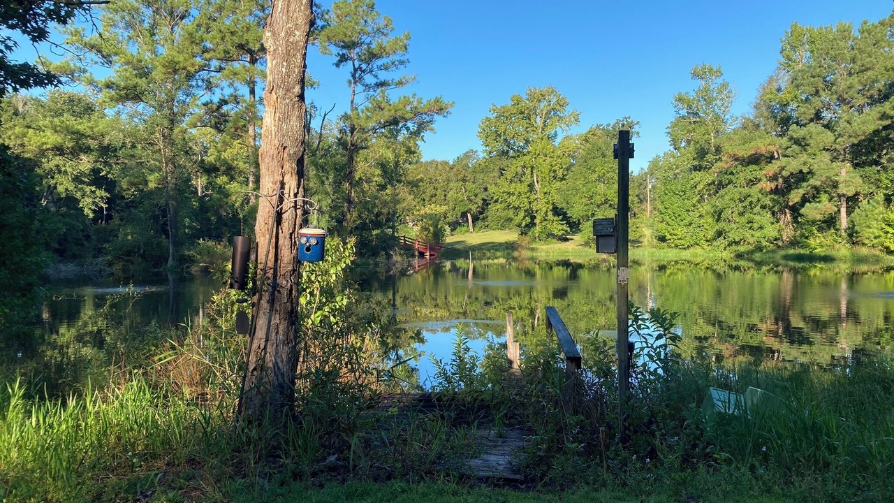 Photo of Outdoor in Tallahassee