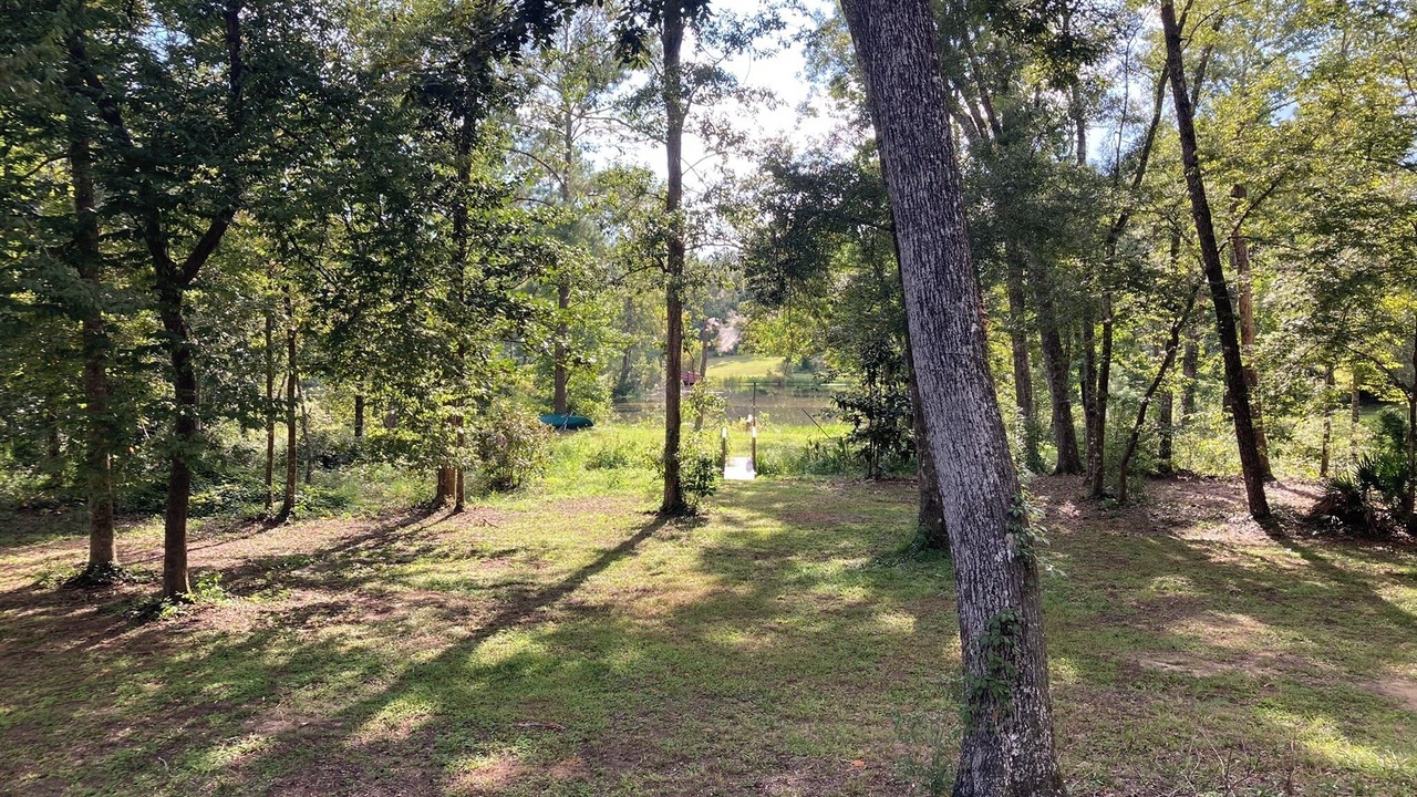 Photo of Outdoor in Tallahassee