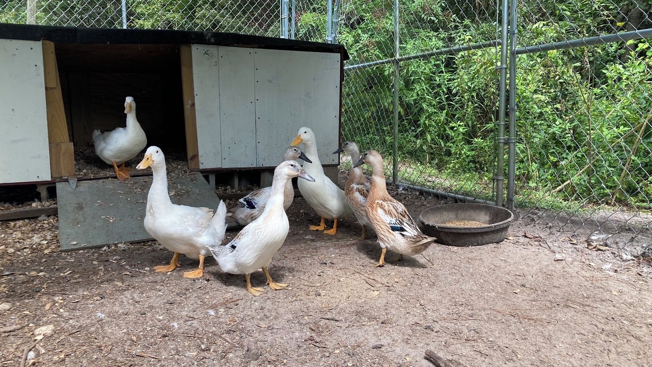 Photo of Outdoor in Tallahassee