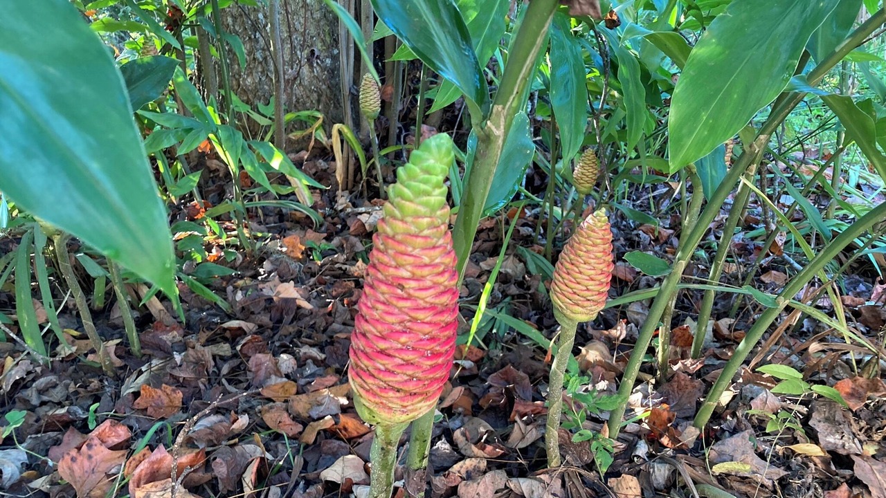 Photo of Outdoor in Tallahassee
