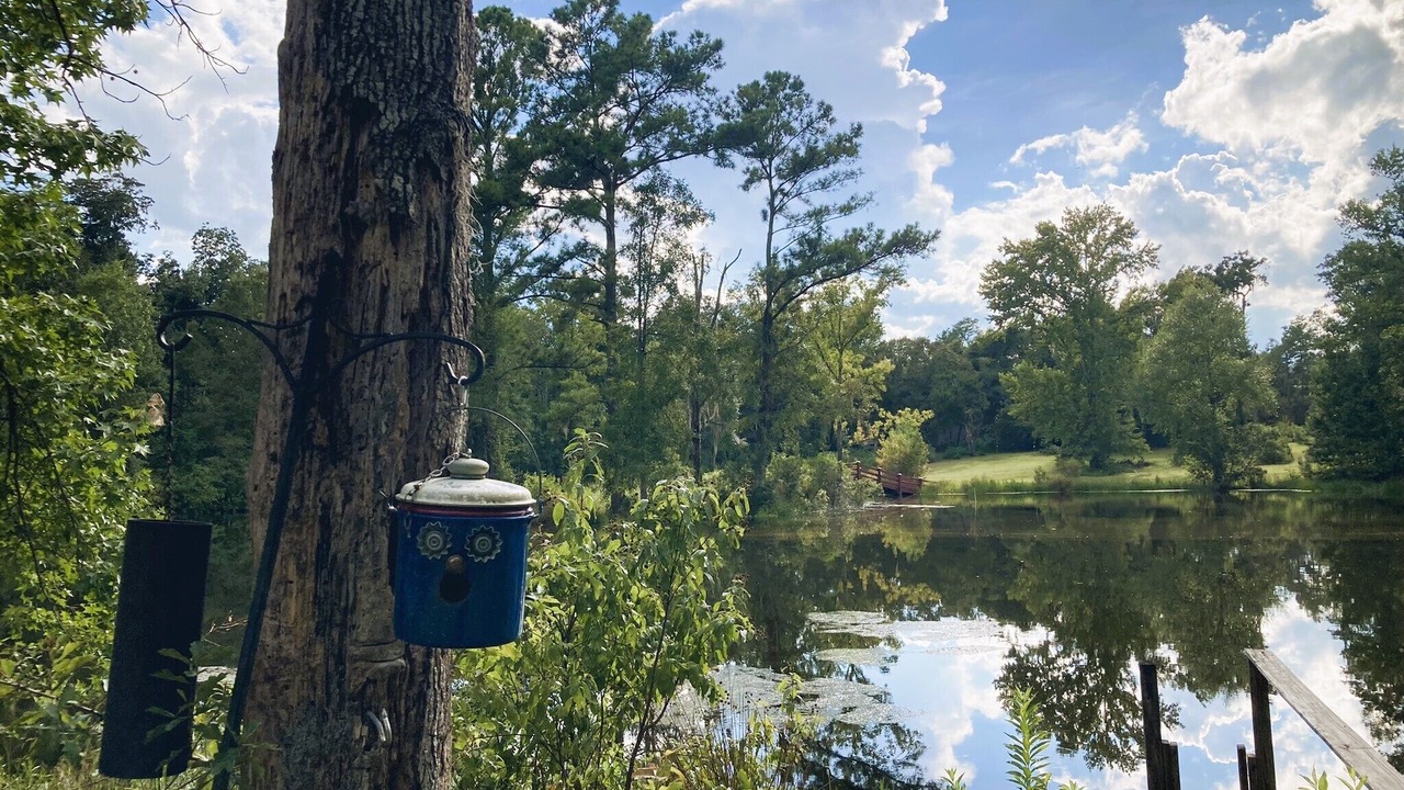 Photo of Outdoor in Tallahassee