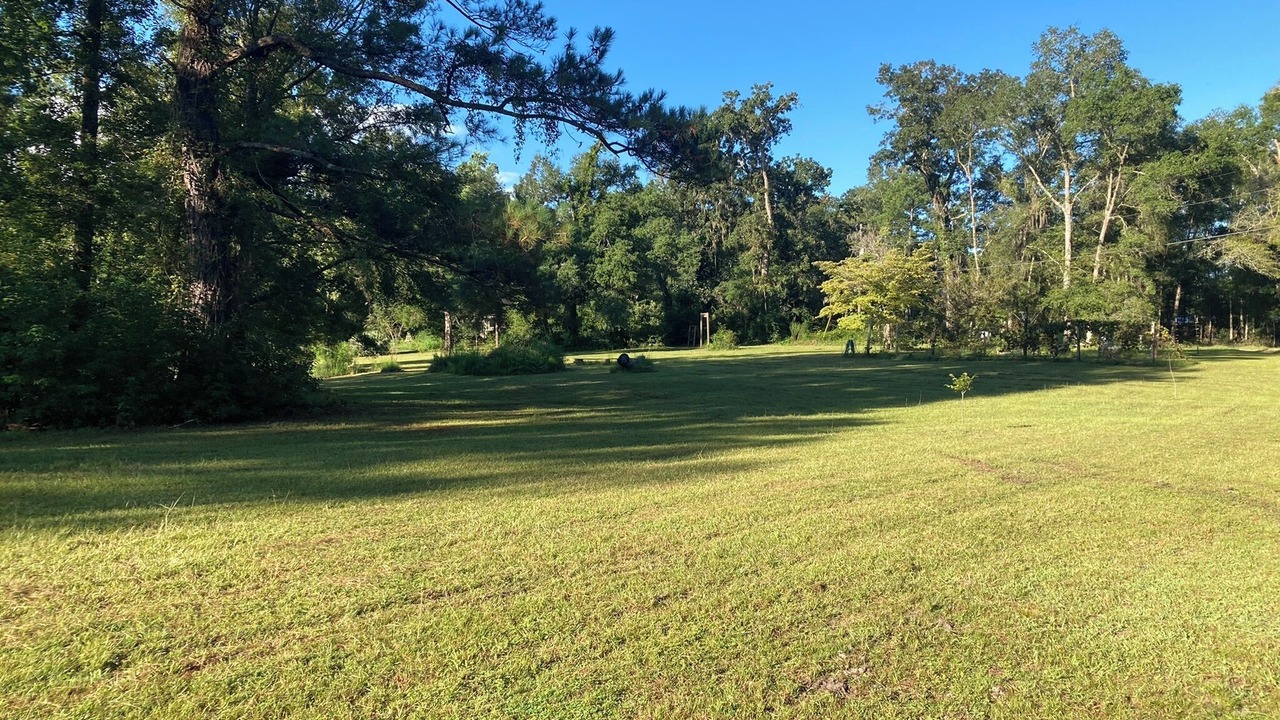 Photo of Others in Tallahassee