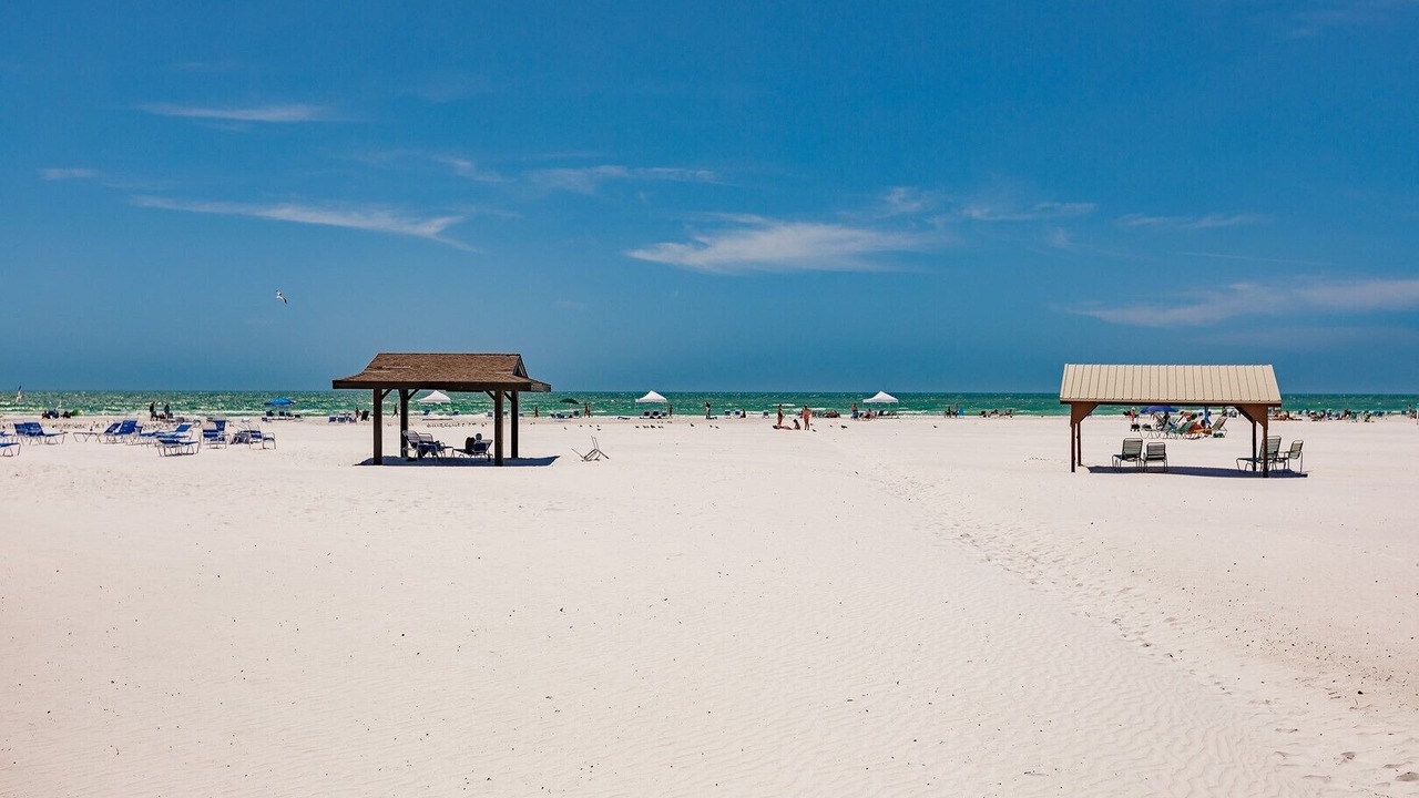 Photo of Others in Siesta Key
