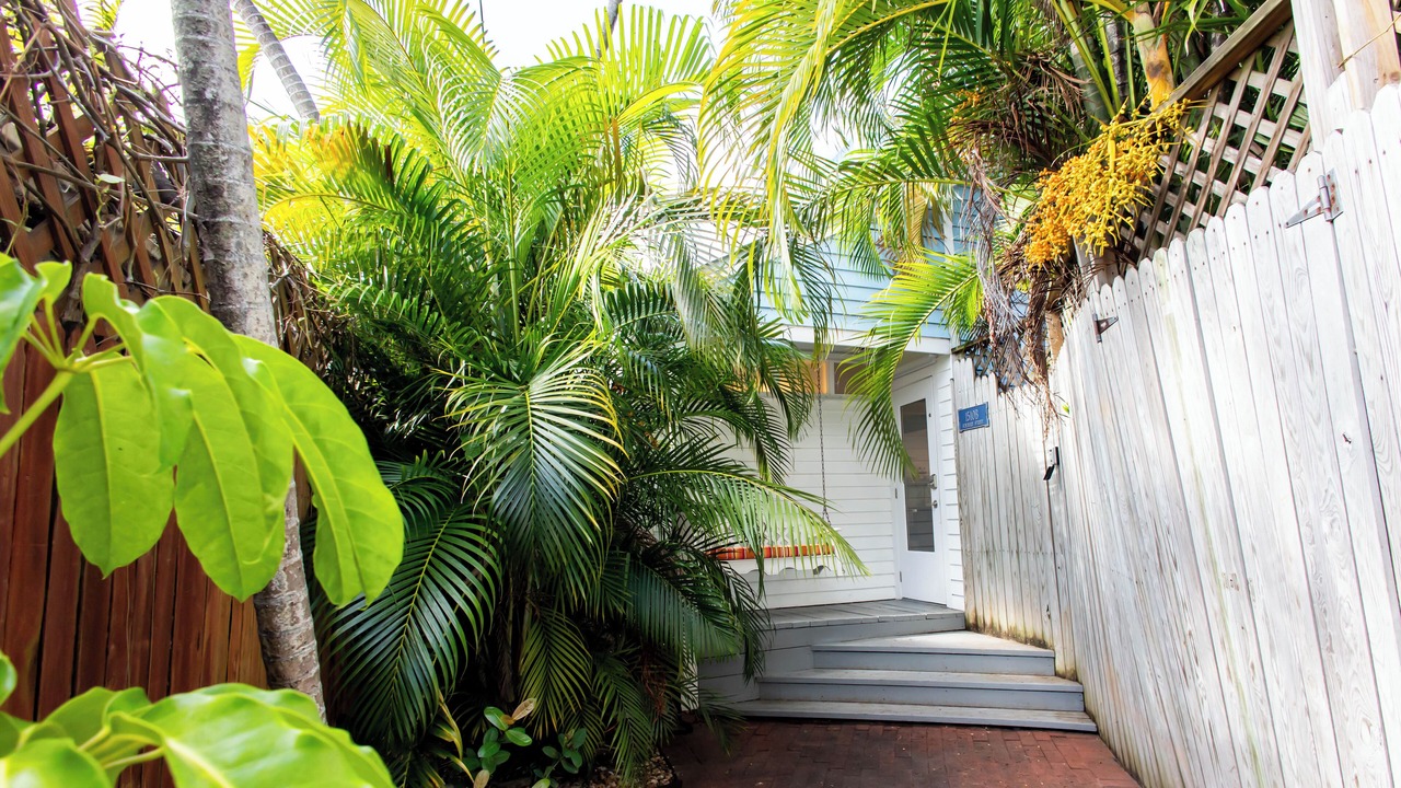Photo of Outdoor in Midtown