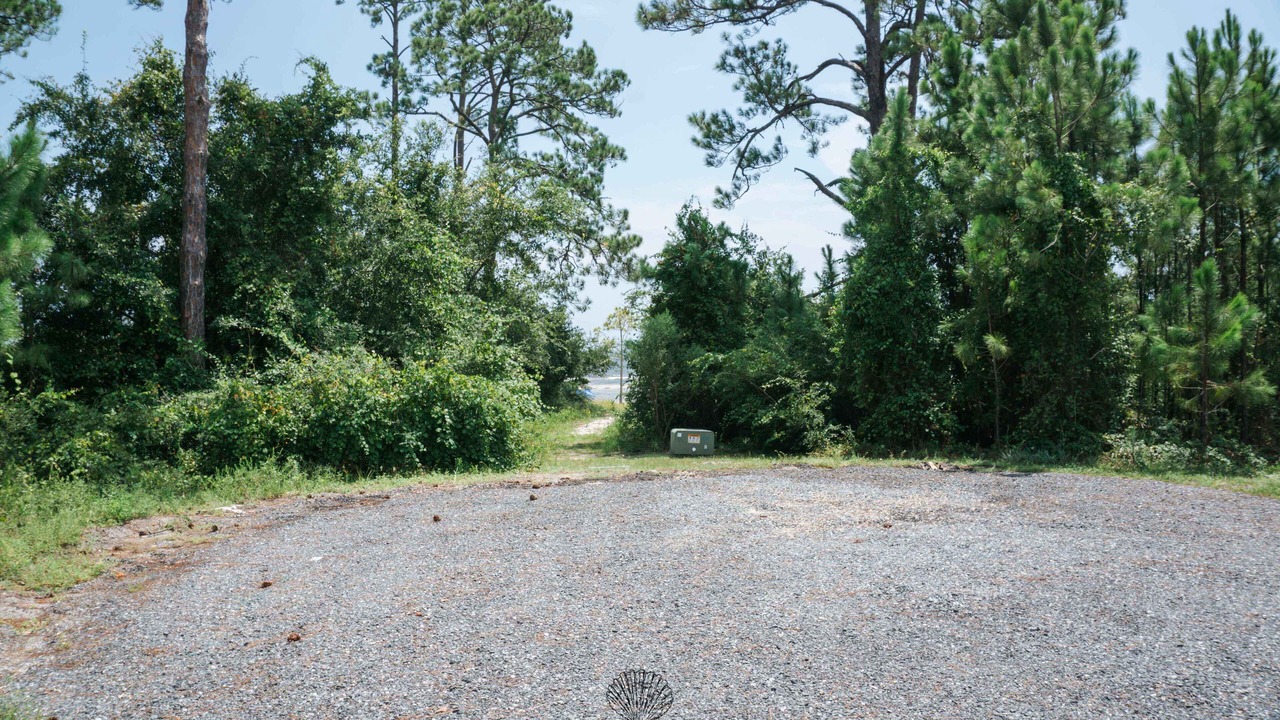 Photo of Others in Carrabelle