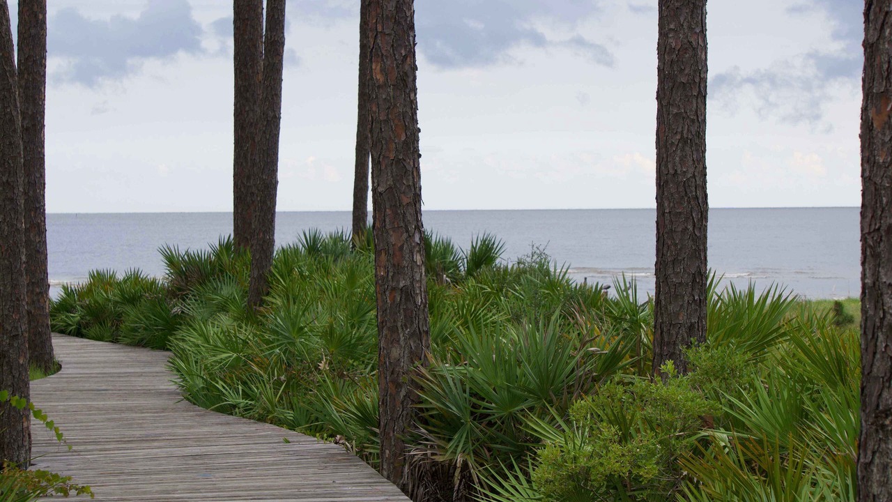 Photo of Outdoor in Carrabelle