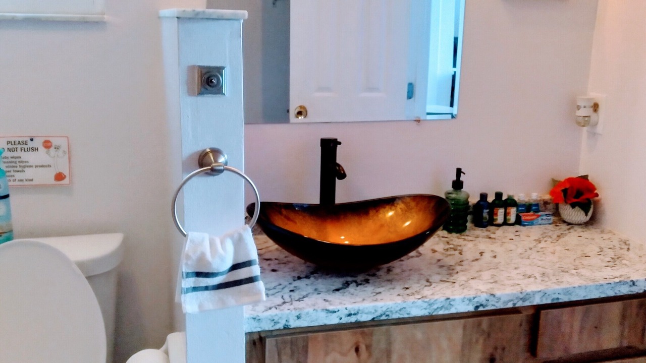 Photo of Bathroom in Lutz