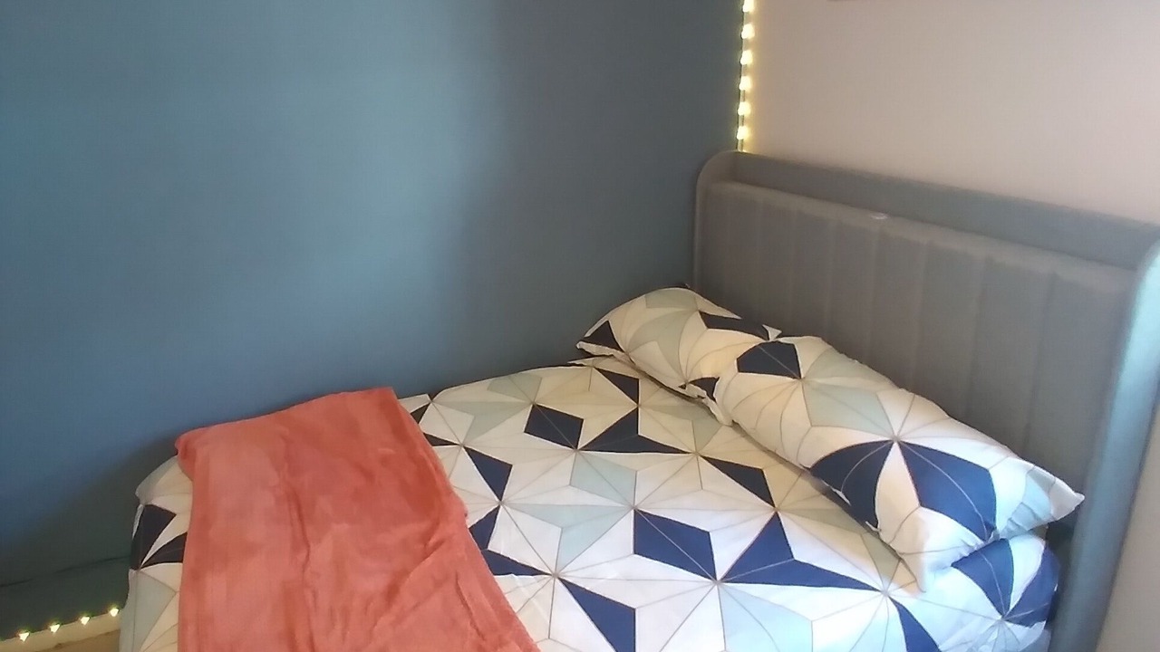 Photo of Bedroom in Lutz