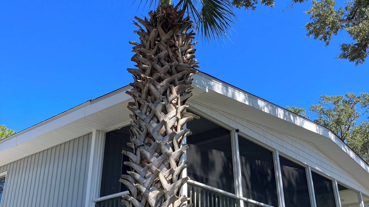 Photo of Outdoor in Panacea