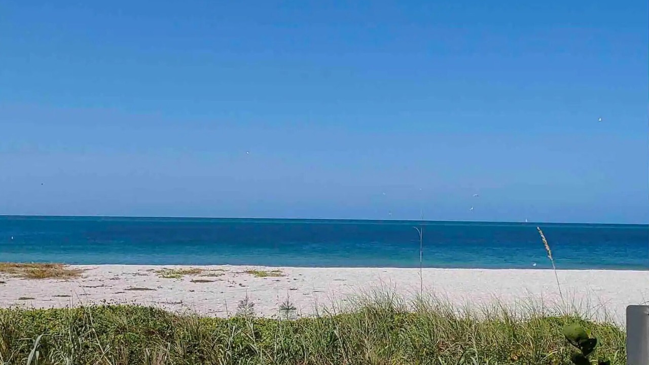 Photo of Others in Golden Beach