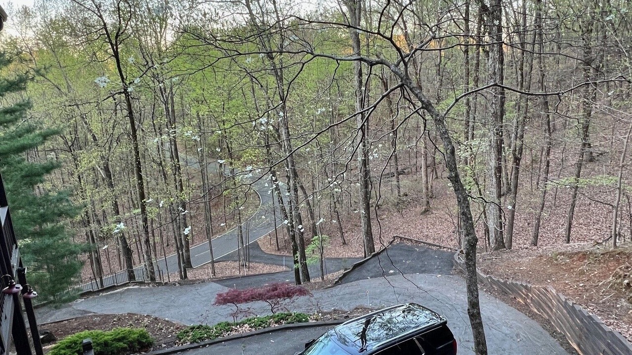 Photo of Others in Big Canoe