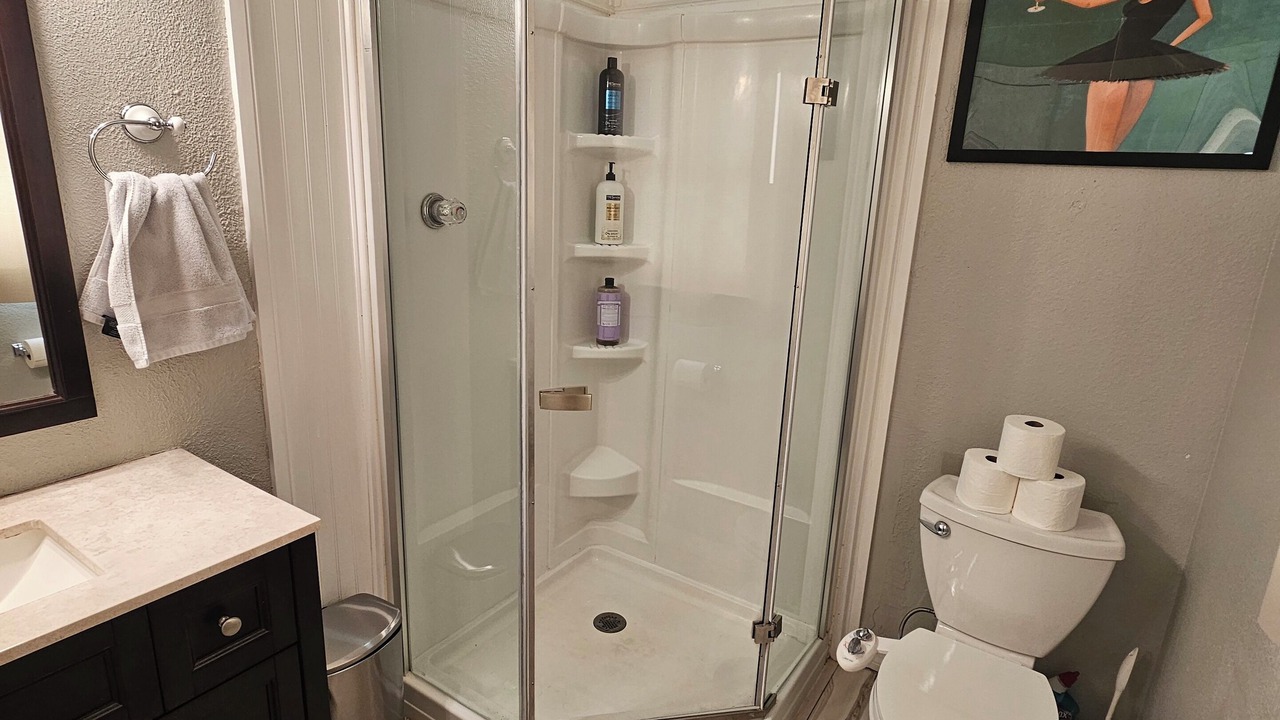 Photo of Bathroom in Old Seminole Heights