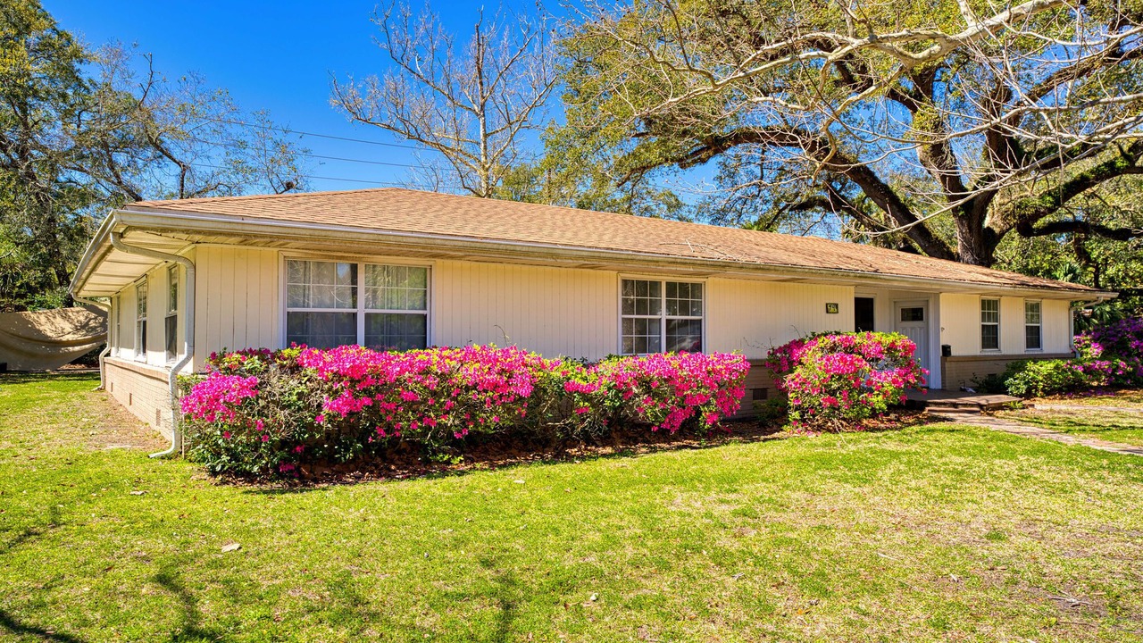 Photo of Outdoor in Apalachicola