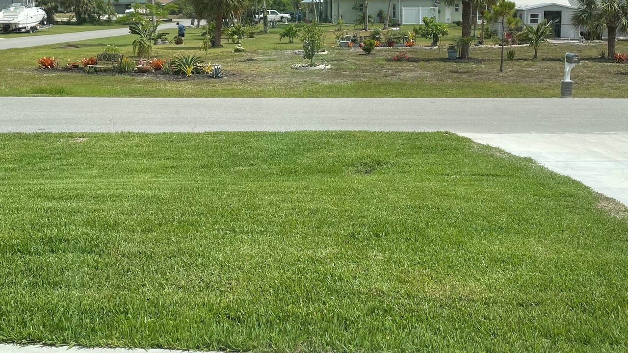 Photo of Outdoor in South Gulf Cove