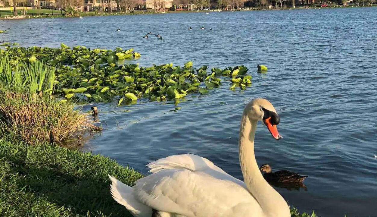 Photo of Others in Lakeland