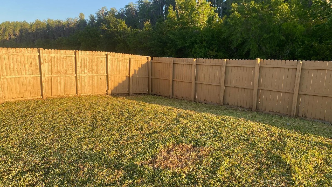 Photo of Outdoor in Poinciana