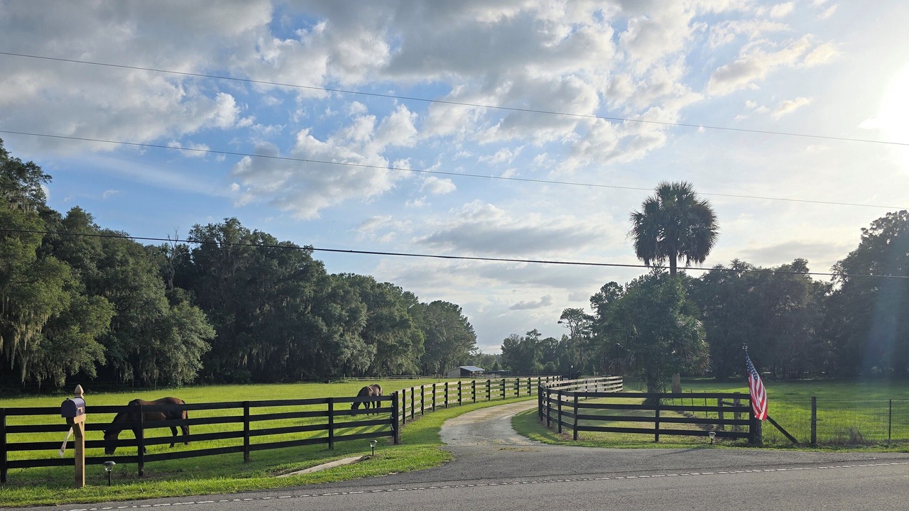 Photo of Others in Micanopy