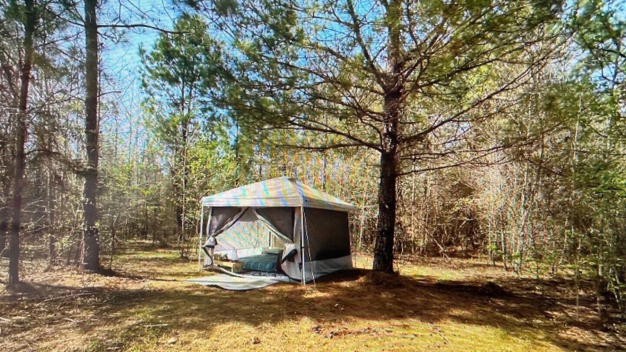 Photo of Outdoor in Tallahassee