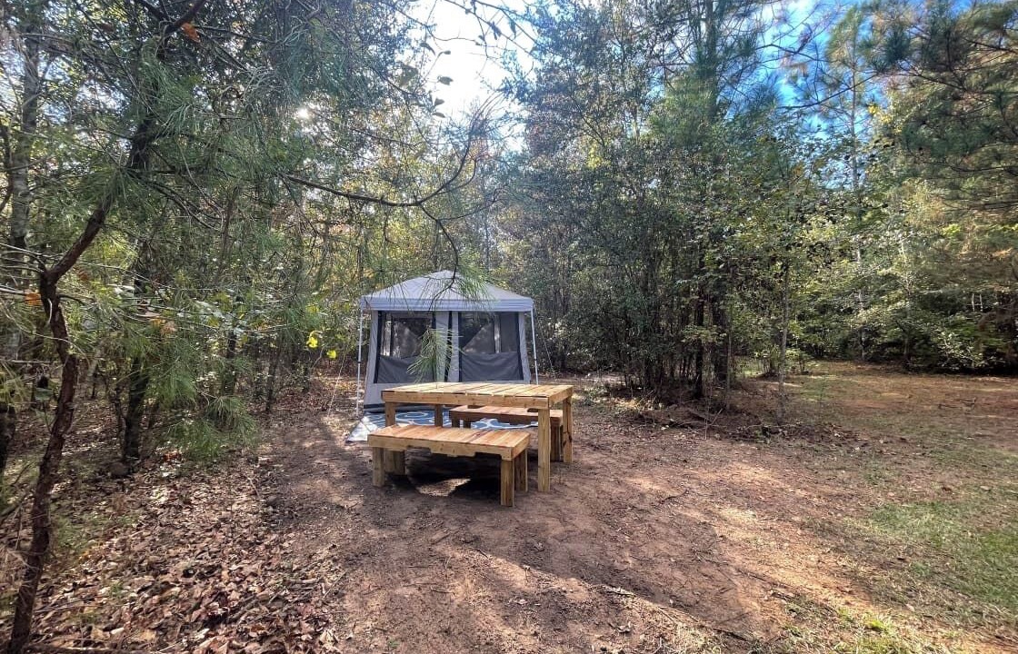 Photo of Outdoor in Tallahassee
