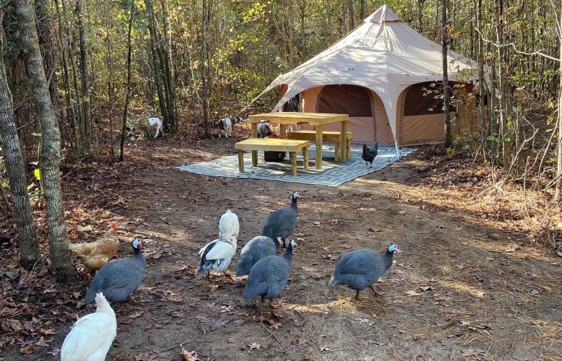 Photo of Outdoor in Tallahassee