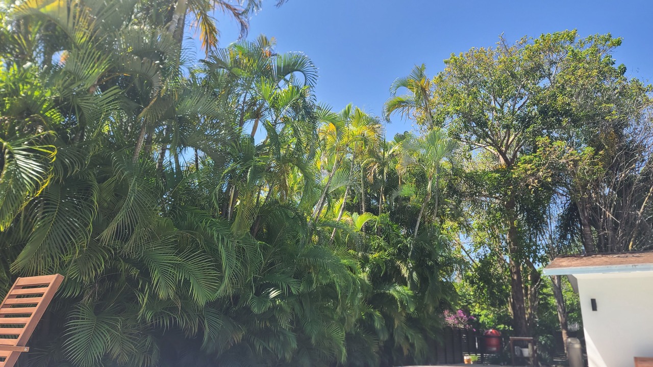 Photo of Outdoor in Palmetto Bay