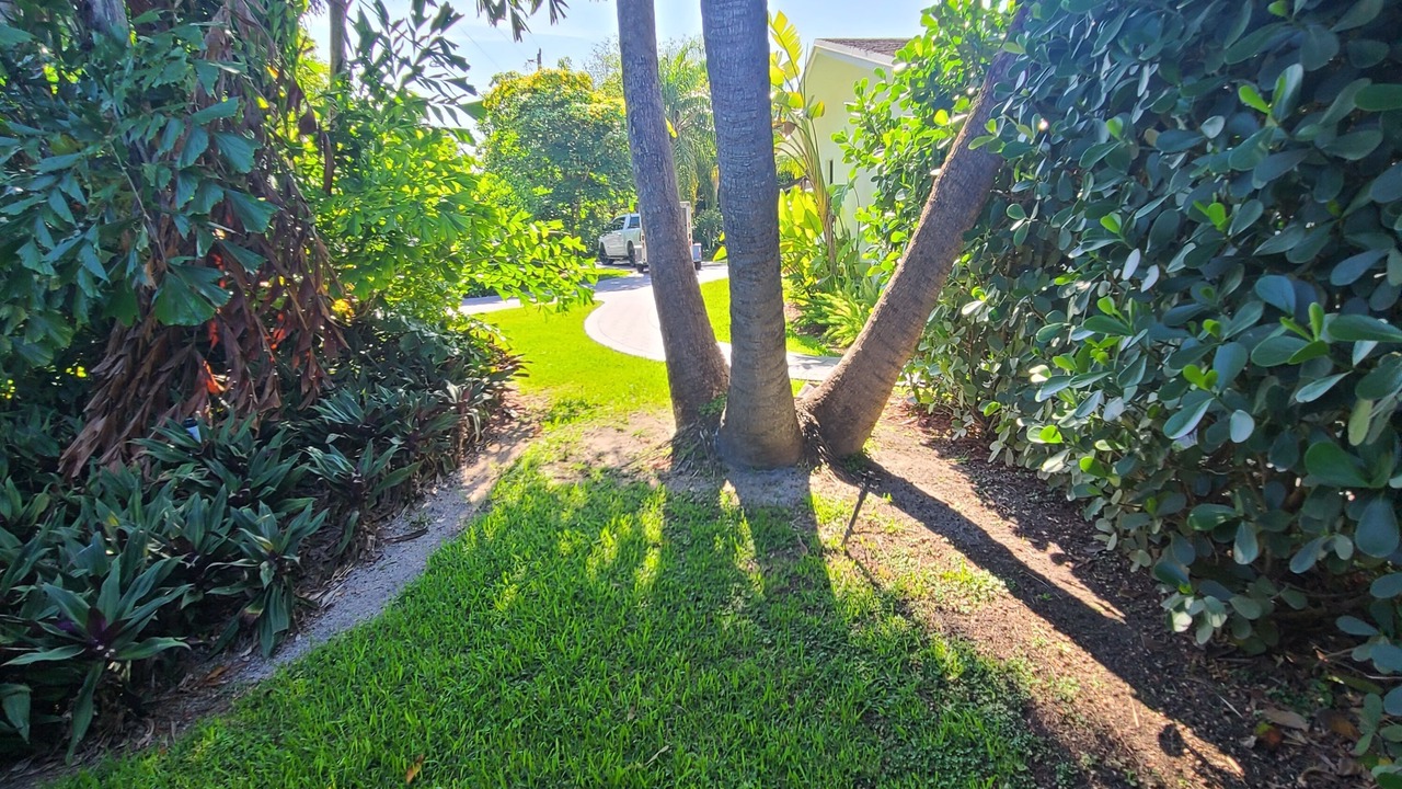 Photo of Outdoor in Palmetto Bay