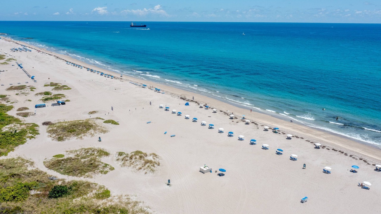 Photo of Others in Palm Beach Shores