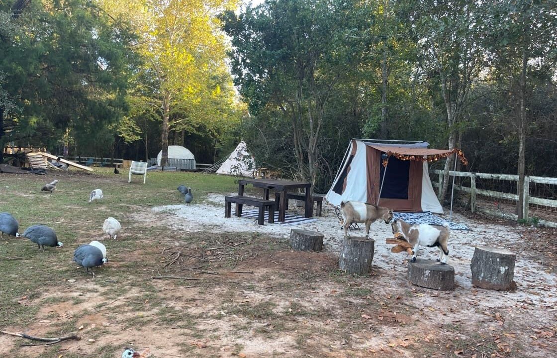 Photo of Outdoor in Tallahassee
