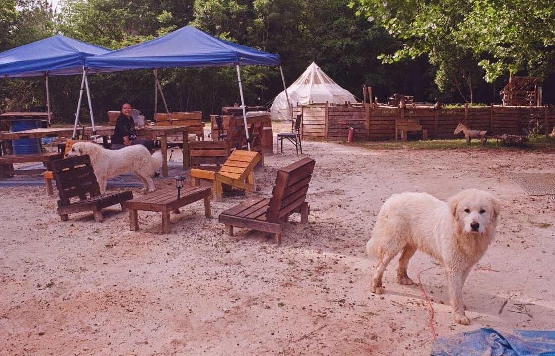 Photo of Outdoor in Tallahassee