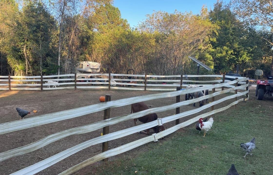 Photo of Outdoor in Tallahassee