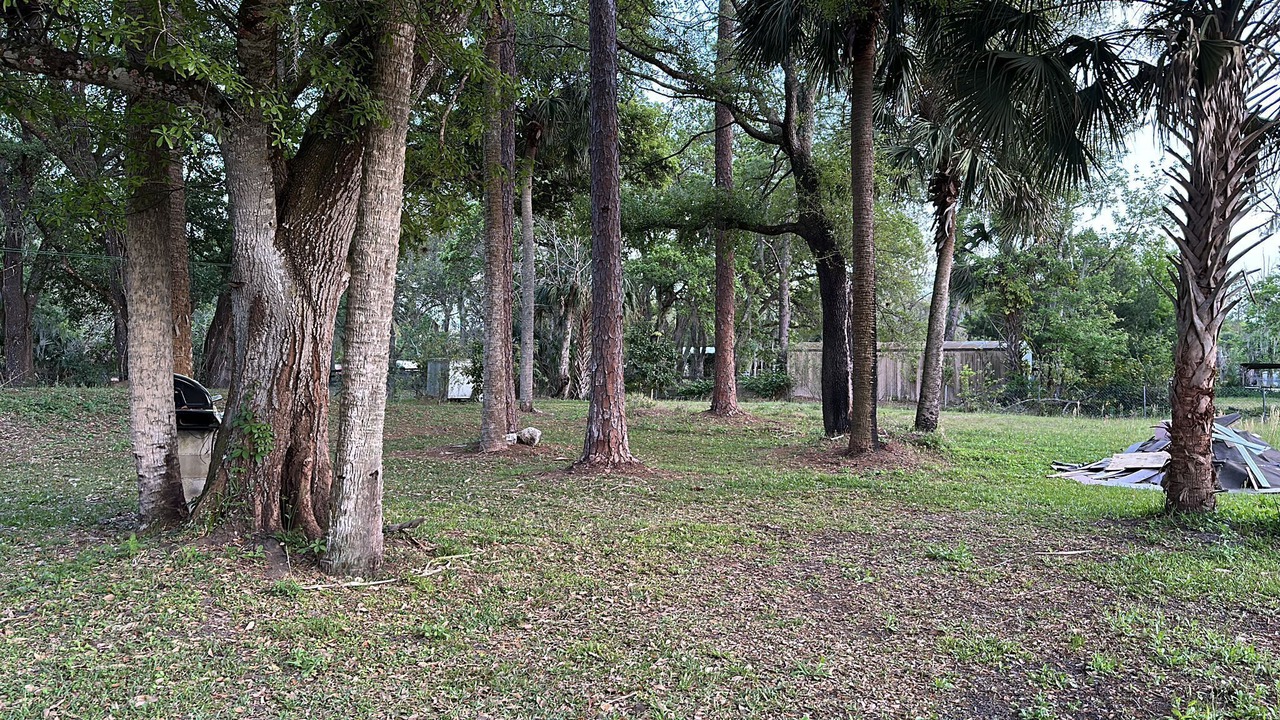Photo of Outdoor in Christmas