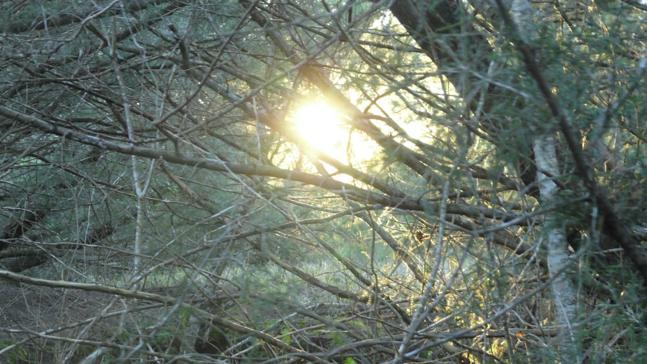 Photo of Outdoor in Branford