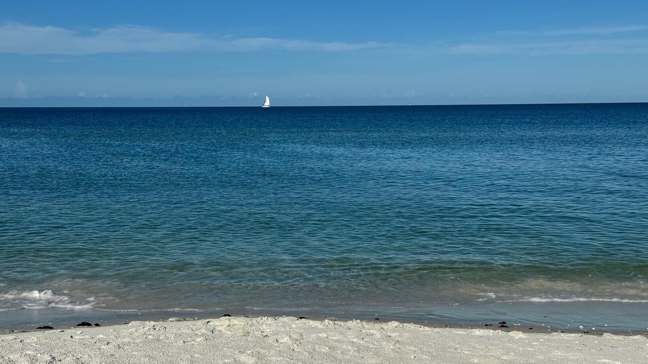 Photo of Others in Vanderbilt Beach
