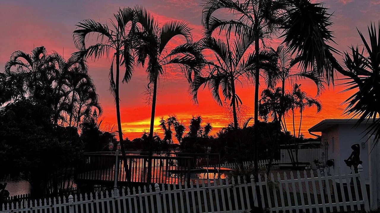 Photo of Outdoor in Tropic Palms