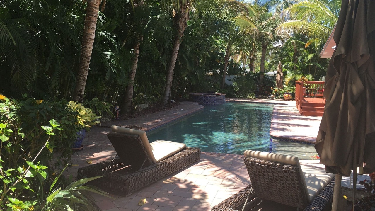 Photo of Outdoor in Siesta Key