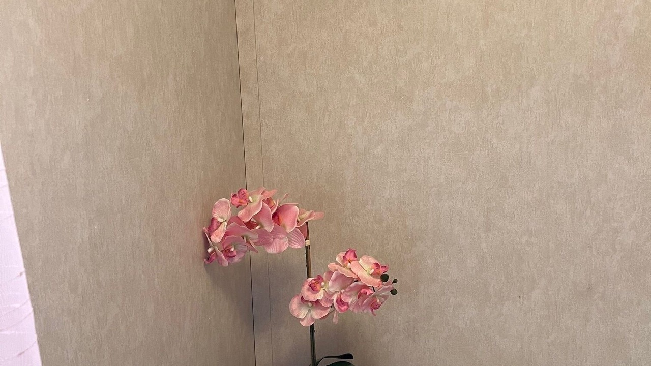 Photo of Bedroom in Trenton