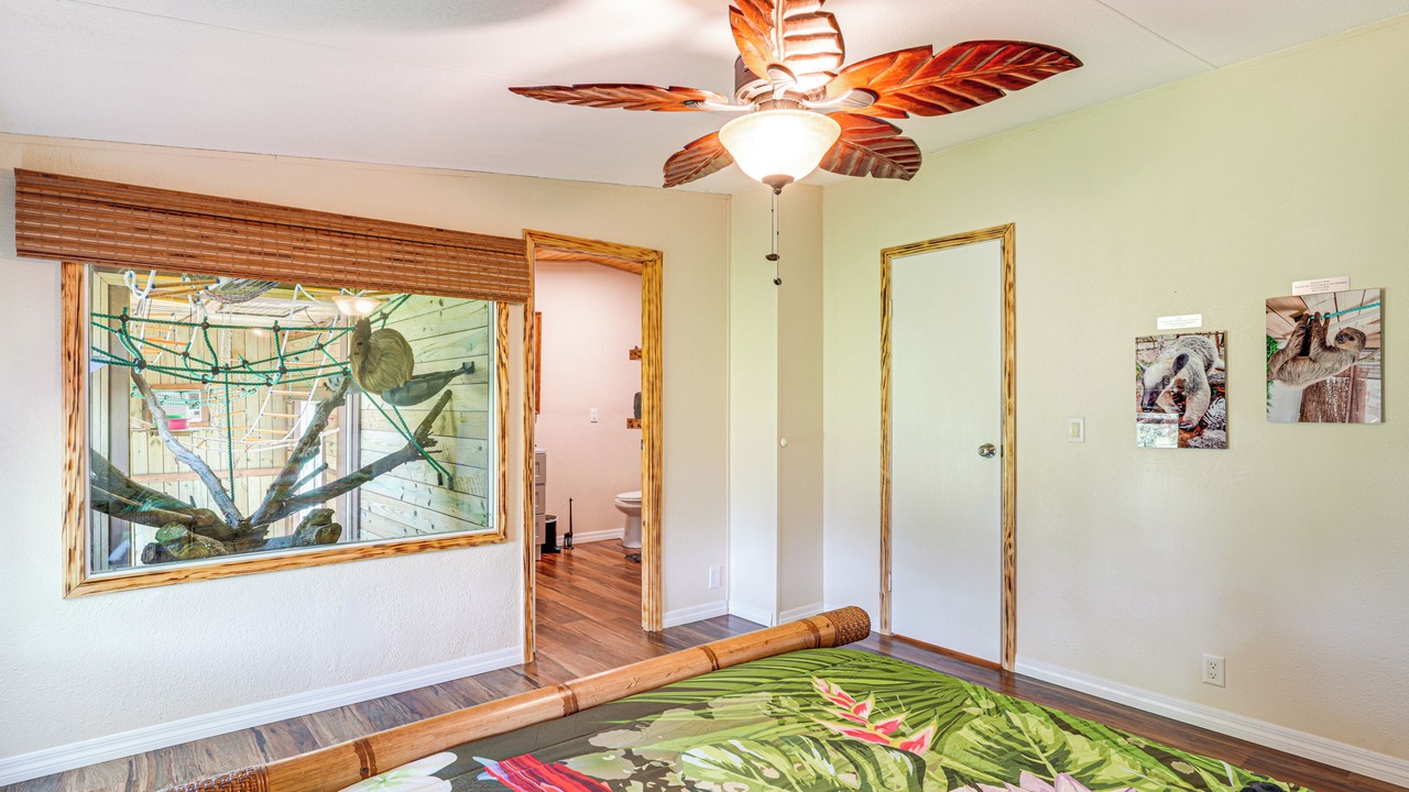 Photo of Bedroom in Webster