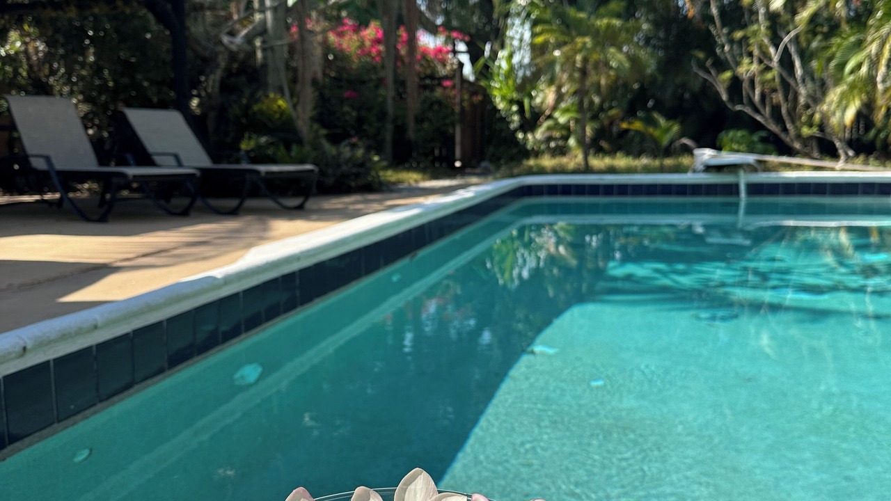 Photo of Outdoor in North Central Hollywood