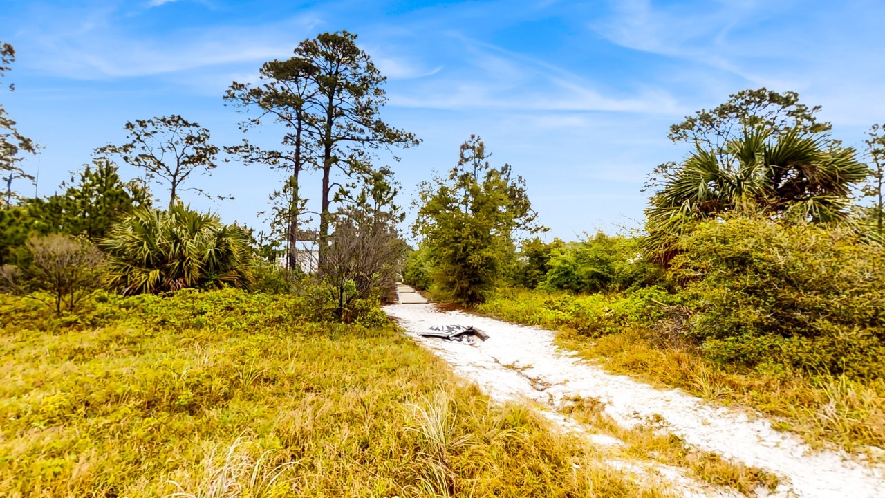 Photo of Others in Carrabelle