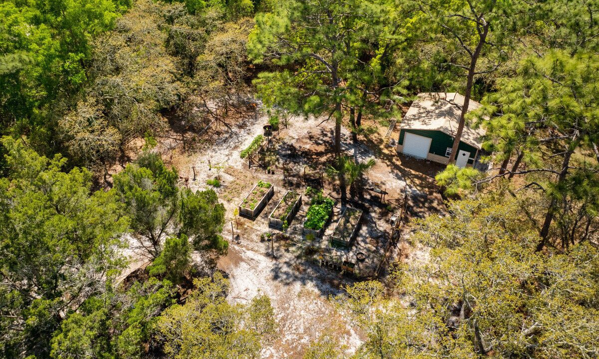 Photo of Outdoor in Cedar Key