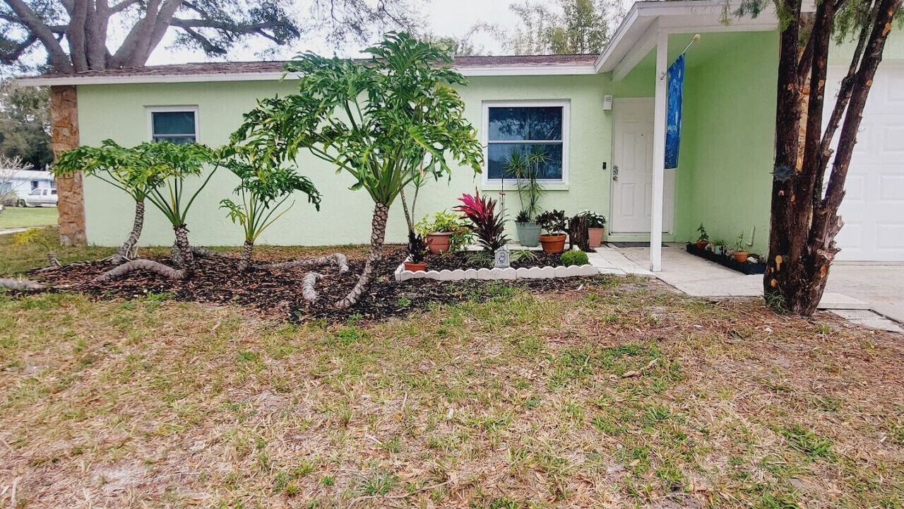 Photo of Outdoor in Pinellas Park