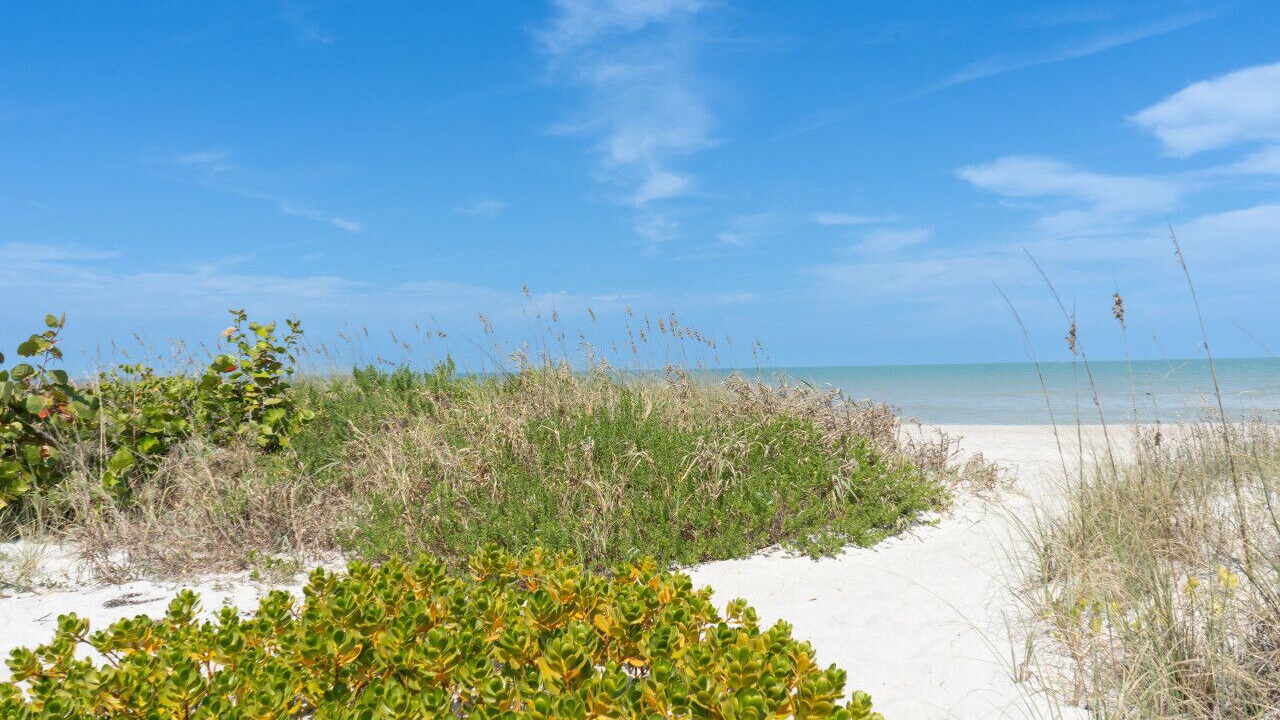 Photo of Others in Crescent Beach