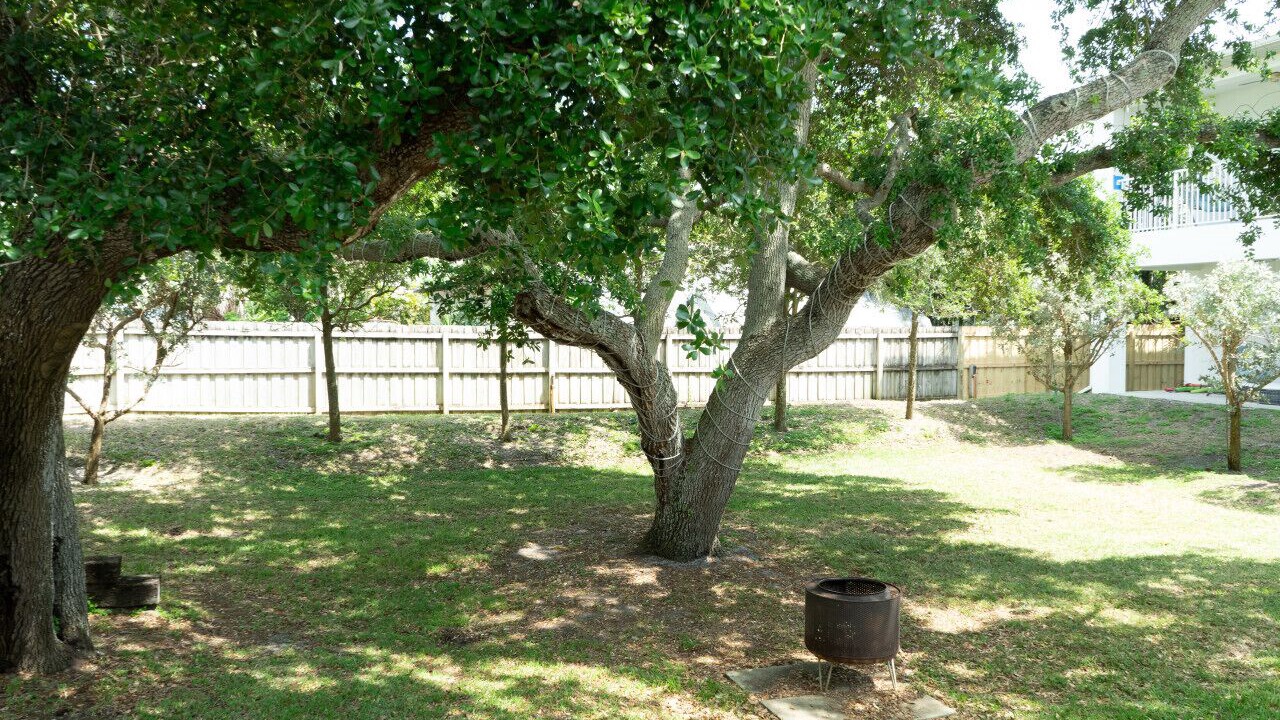 Photo of Outdoor in Crescent Beach