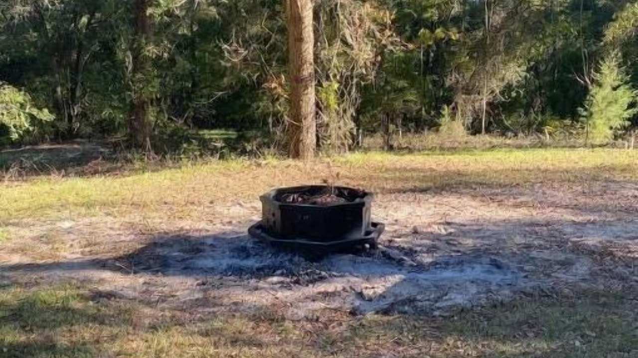 Photo of Livingroom in Fort White